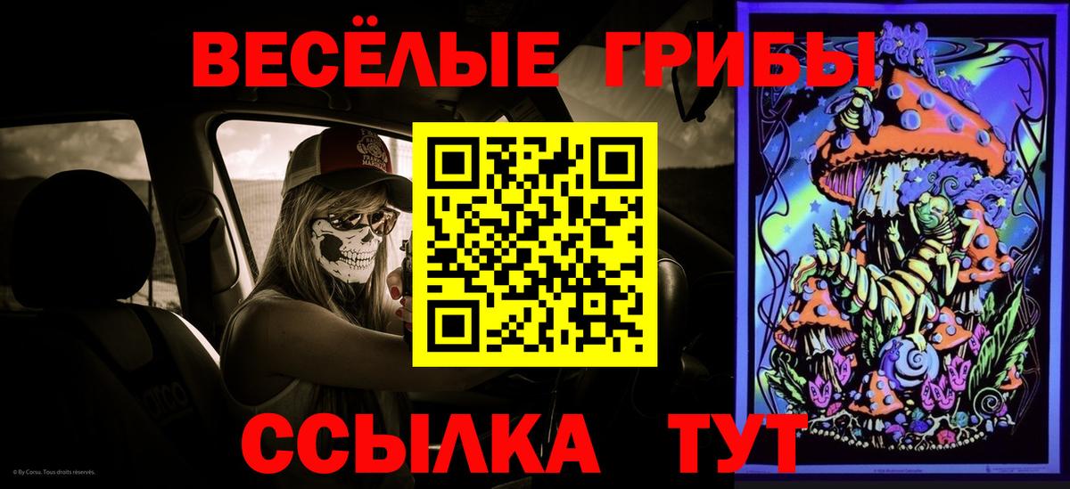 Псилоцибиновые грибы GOLDEN TEACHER Апатиты