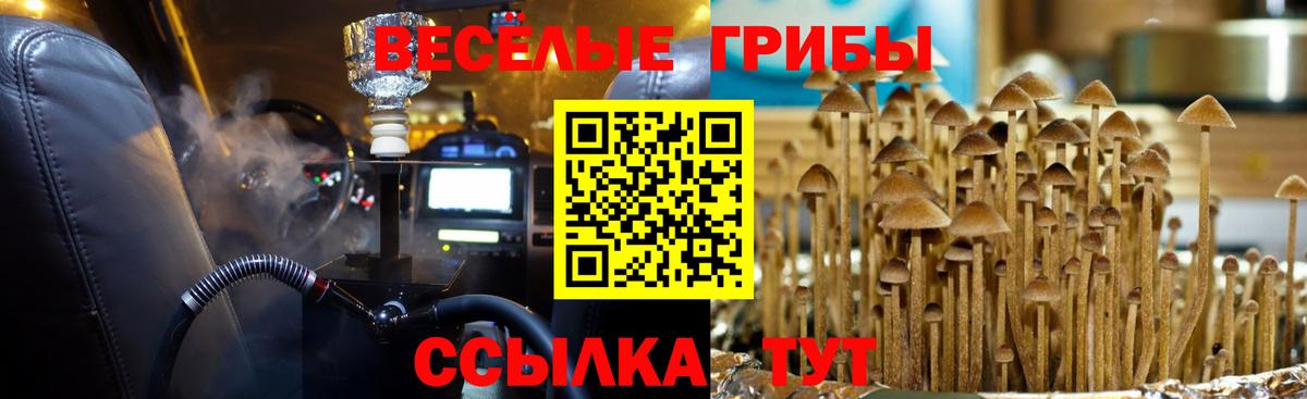 Апатиты  Галлюциногенные грибы мухоморы  Вход с VPN 
